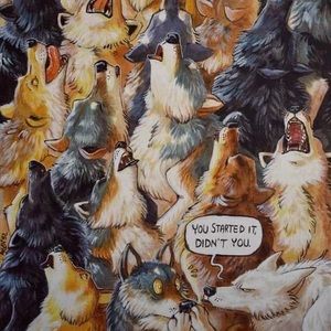 Meet your Posher, Carrie